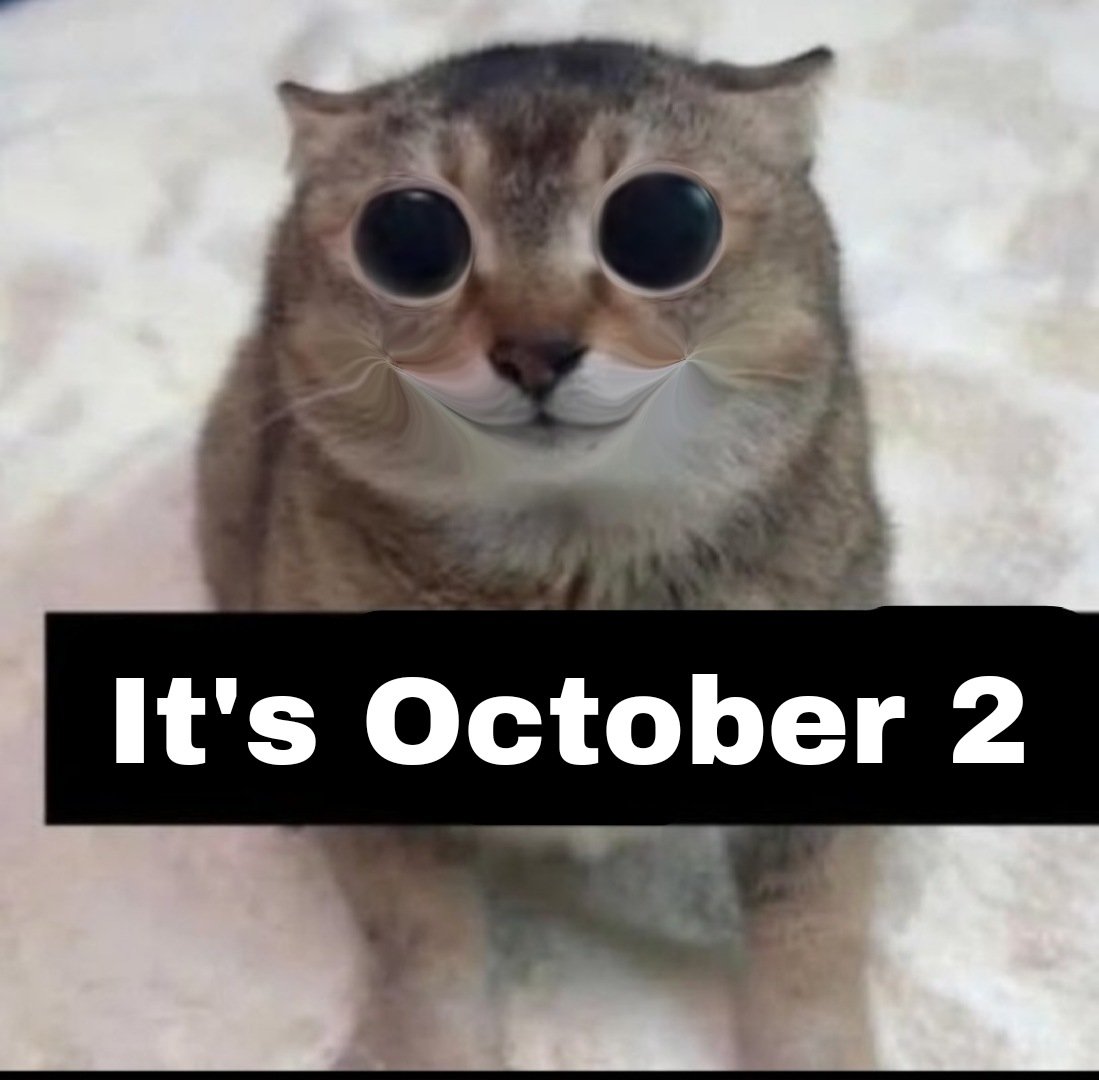 the47cat's tweet photo. https://t.co/T7VOFHmU2P