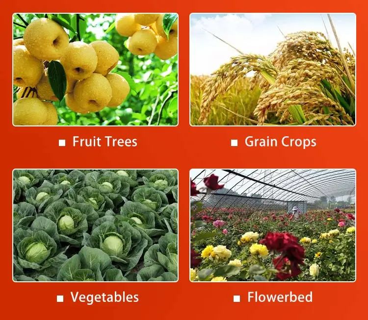 LaikeCo's tweet photo. 🌱 Lufenuron: Long-Lasting Insect Control
Targets caterpillars, thrips, whiteflies & more by disrupting larval molting. 🐛
Available in multiple formulations with OEM solutions.
#Lufenuron #Insecticide #PestControl #CropProtection #Agrochemicals https://t.co/Qc21ELDv4d