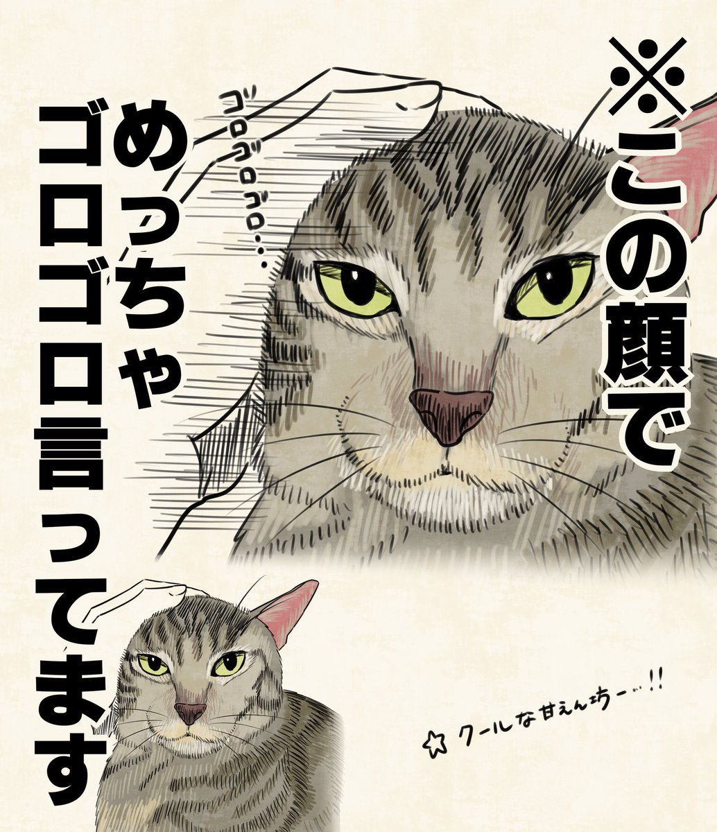 kuiruri's tweet photo. かわいくて… https://t.co/9VO63Qq5eZ