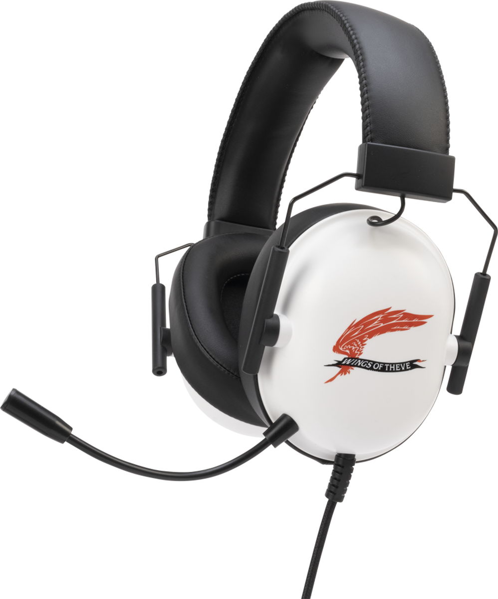 GamerNeJp's tweet photo. 「エースコンバット8 ウイングス・オブ・シーヴ」が発売！プラモデル2種とコントローラー・ヘッドセットの発売も決定
https://t.co/3pPc9VsngW

 #ACE8 #ACECOMBAT8 #WingsOfTheve https://t.co/W6lkKZ5q4y