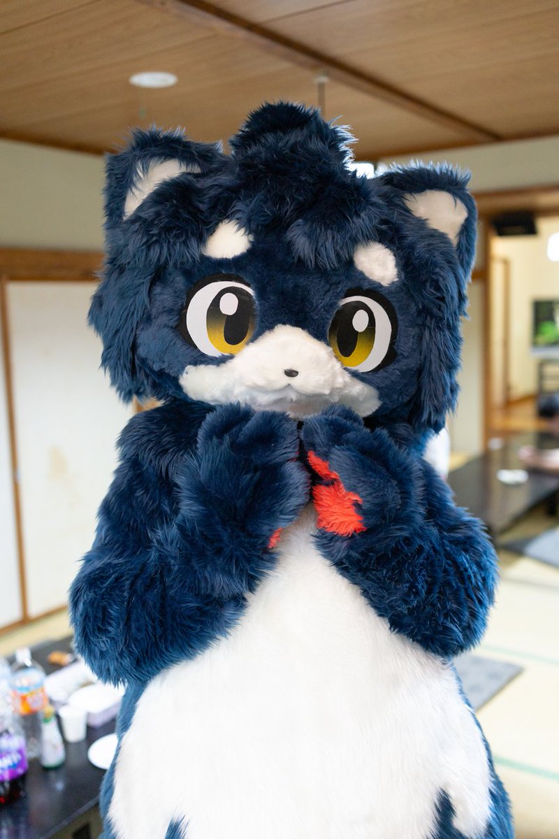 simogoldie's tweet photo. 今日頑張るみなさんをアビーちゃは応援しています。
#FursuitFriday
#はむがっしゅく2 
📸:りゅうさん(@sakiL3L3 ) https://t.co/zHf8XUogPt