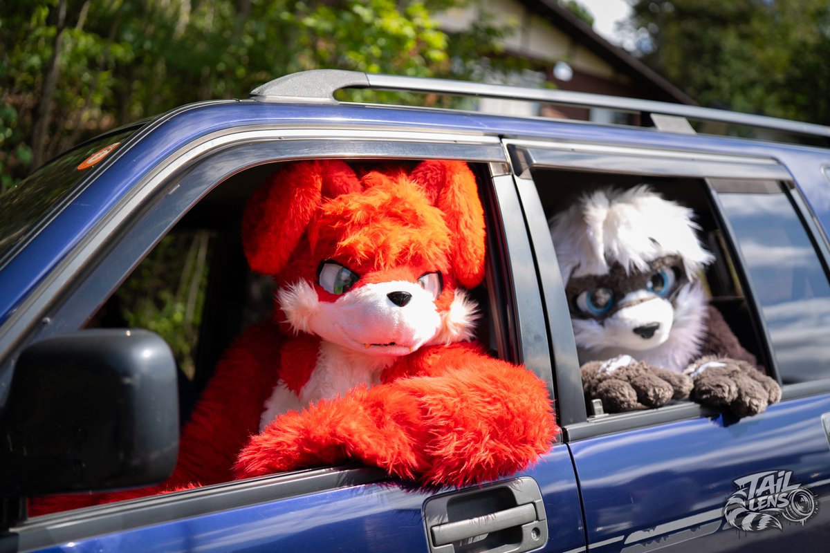 sirius_alphaRJ's tweet photo. 乗ってく？

📷@TailLens96
#FursuitFriday 
#ふぁーろっじ https://t.co/6i2UCSfkW3