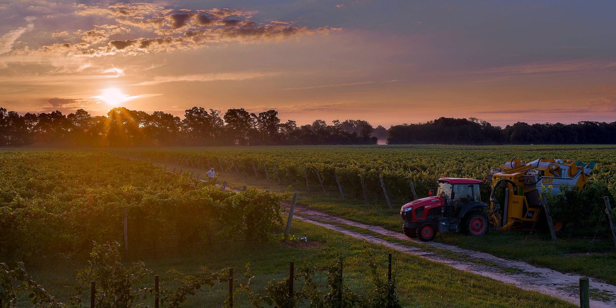 junknellycilv's tweet photo. Sunrise Over the Vineyard [OC]
#VisualsOfEarth #ScenicView https://t.co/WEw1wr4TKs