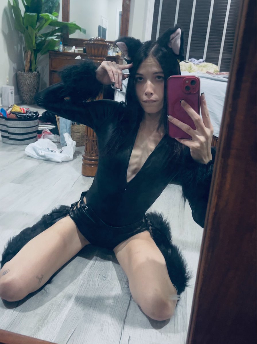fw_albany's tweet photo. Meow? https://t.co/PDKNIlS3sg