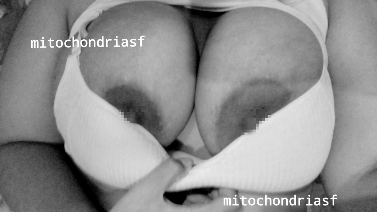 mitochondriasf's tweet photo. ngintip 👀 https://t.co/9Fmg0ZVVqC