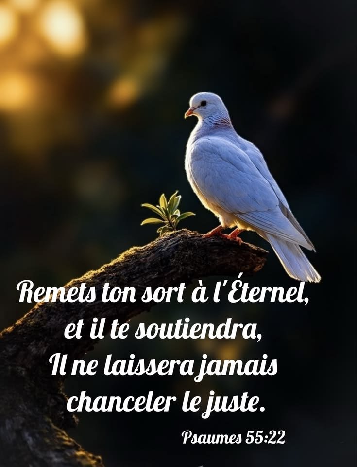 ClaireZoun17794's tweet photo. Psaumes 55.22."remets ton sort à l'Éternel et il te soutiendra, il ne laisse jamais chanceler le juste." https://t.co/qGl5qx0KAM