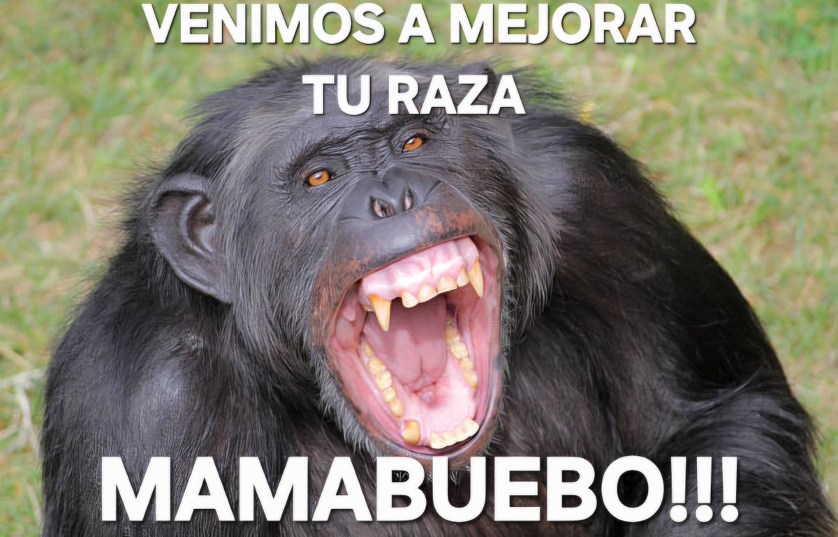 AugustoMedyylu's tweet photo. @arxndroxxx @Marcelo66146051 De que te vas apoderar zambo de mierda bastardo sucio negro asqueroso inmundo? 

Anda a rescatar a tu presidente a Estados Judíos primero. Luego arregla congozuela económicamente y... para que lo digo si ni contar hasta 10 sabes. Vuelve a tú cloaca mono sin patria! https://t.co/BOypDGApid