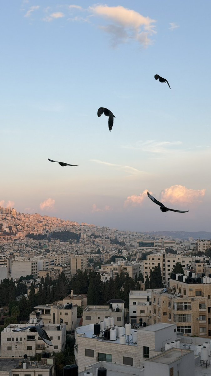 smaziyad's tweet photo. https://t.co/NHkZtpMPhQ