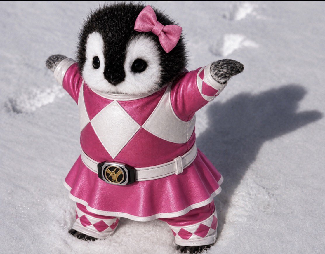 RealPenguin01's tweet photo. Frens. I’m a real power ranger. Power pebbles. Dad said I can be such. He said 

My skirt is fun frens. I love it. My bow too https://t.co/Fgtg4t7fPV