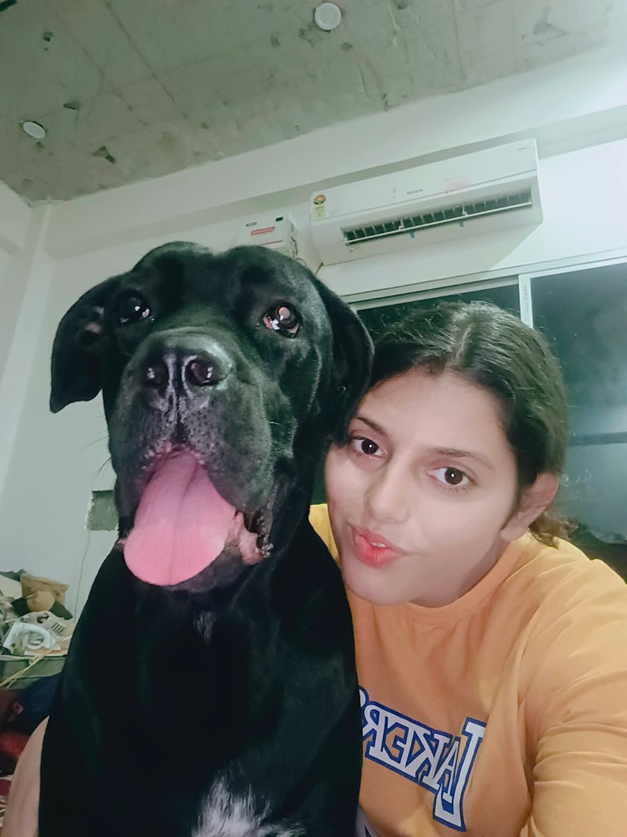 ShrutiSanjana1's tweet photo. Happy National Black Dog Day! Letโs see โem ๐โ๐ฆบ ๐๐พ
#cancorso #canecorsolife #blackdog #blackpanther https://t.co/ZbqBx6aJC8