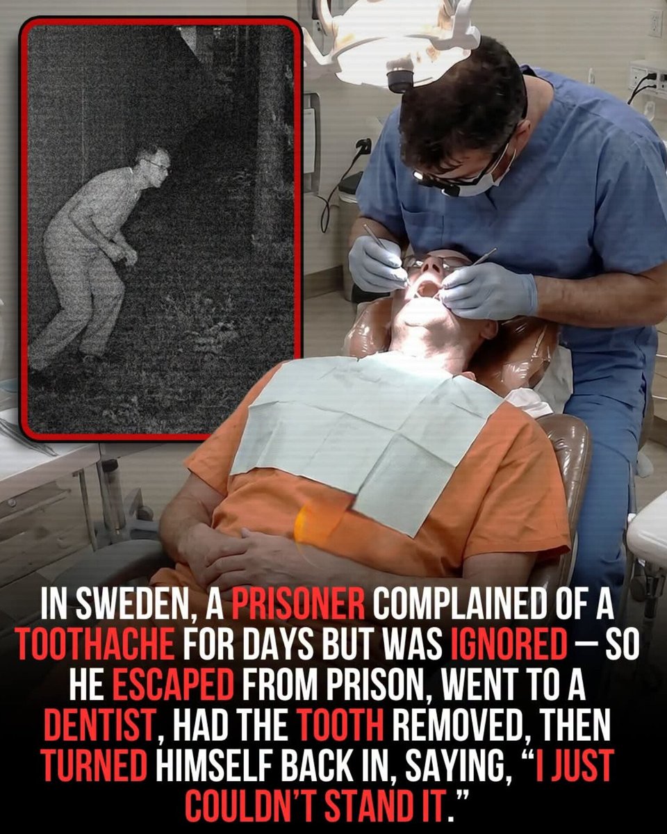 worldranking_'s tweet photo. Bro committed the most understandable prison escape ever 😂 https://t.co/pvSlrH0fvp