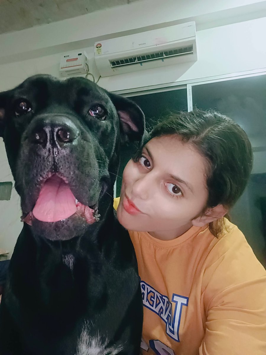 ShrutiSanjana1's tweet photo. Happy National Black Dog Day! Letโs see โem ๐โ๐ฆบ ๐๐พ
#cancorso #canecorsolife #blackdog #blackpanther https://t.co/ZbqBx6aJC8