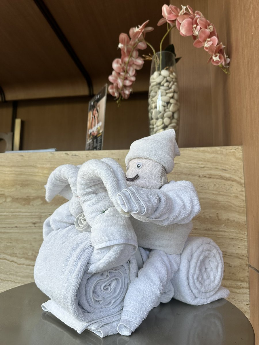 Quankhamsai's tweet photo. Không gì khiêm tốn hóa bạn như việc nhớ rằng thời gian đang loại bỏ mọi người khỏi bàn cờ. Những người bạn ghen tị sẽ chết. Những người bạn sợ hãi sẽ chết. Những người bạn biểu diễn cho sẽ chết. Bạn cũng sẽ chết. Một khi điều này trở nên thực tế, một nửa nỗi lo lắng của bạn bắt đầu trông thật lố bịch. Tử vong là một bộ lọc thiêu rụi những ưu tiên giả tạo.Quan đi giải cứu chúng sinh- chúng sinh ở nhà mạnh khoẻ. 
Điểm chekin hotle The Capital #Hotel #Surabaya. Ngày thứ 3 đặt chân đến Indonesia 🇮🇩, tôi đã có một buổi tối khó quên.#ppfileoynamatamöde #Travel #IndonesiaBebasKarhutla #น้ําท่วม2569 #Prevención #DíaDelPeriodista #गांधी_जयंती