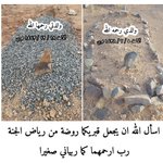 Photo by د. عبدالله الحلافي (@alhalafi1)