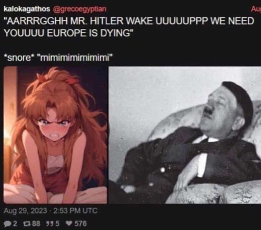notemple4ujew's tweet photo. @shoe0nhead https://t.co/6HRQSPk687