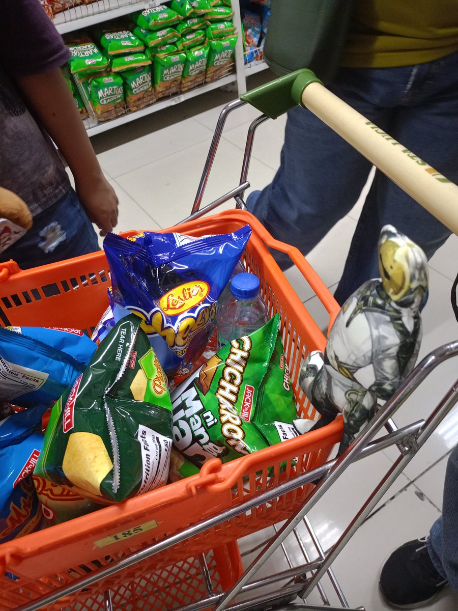 heehefrogge's tweet photo. Sidequest with friends pt 2: ulrich is guarding our groceries https://t.co/1MobiBERKB