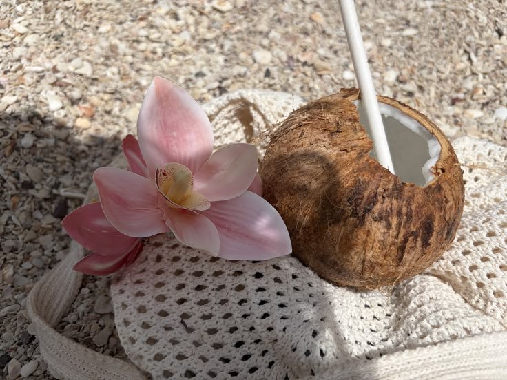 missorcyd's tweet photo. 𝑀iss 𝑂rchy 𝑚𝑜𝑜𝑑𝑏𝑜𝑎𝑟𝑑🌺 ⋆˚𝜗𝜚˚⋆
" i finally touched grass… but make it beach 🥥 "
#Shaz #NONA https://t.co/liuUqXvTNv