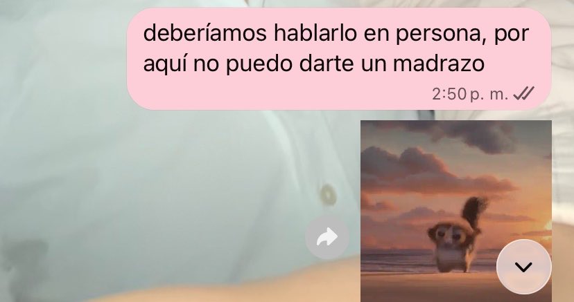 heidisgr's tweet photo. yo sabiendo que en persona chillo https://t.co/mMZKED7Vff