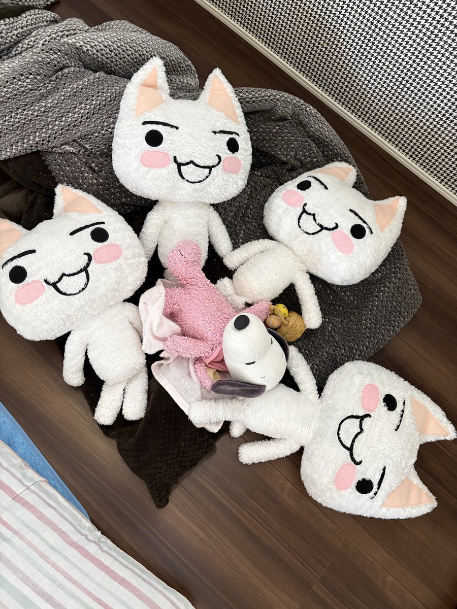 torosuki_'s tweet photo. トロが色んな格好していて何だか味がある https://t.co/DIOmk3dEBk