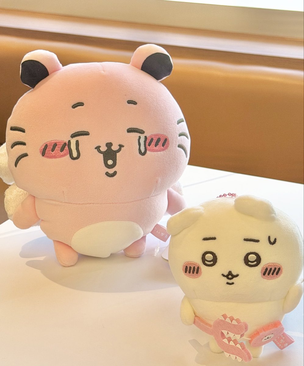 tangisada's tweet photo. 진짜 쟤랑 싸워요,,,? https://t.co/cK6FYuyS61