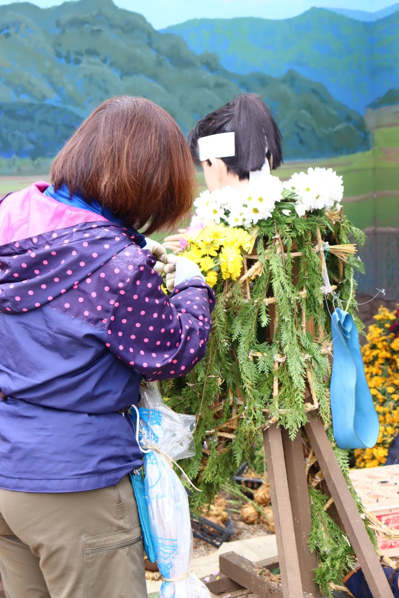 NihonmatsuCity's tweet photo. ◆#二本松の菊人形 を支える「#菊師」の技術②◆
花の見せ方､水やりなどお手入れのしやすさも考えながら､色合いや茎の長さ､硬さもさまざまな菊を素敵に着付けていきます✨#菊人形 をご覧の際は､職人たちの技術にもぜひ注目してみてください✨
#二本松市 #秋
取材:秘書広報係 ℡0243(55)5096 https://t.co/DPPhIDtqnI