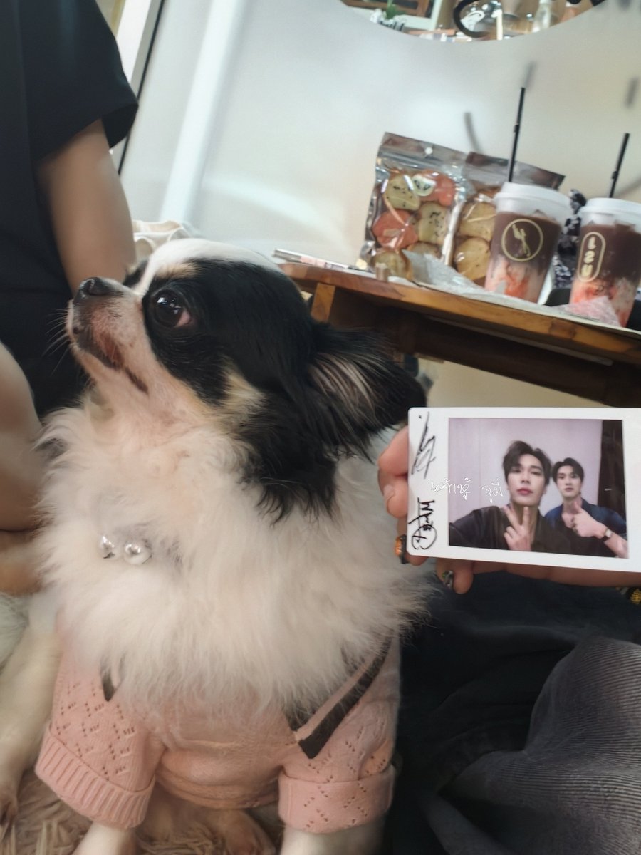 JuJunnior96's tweet photo. หึอายายอะ
หึ นุม่ายชอบ

#JSUSPACE​ #DEWTEE https://t.co/ATq6wfuPIP