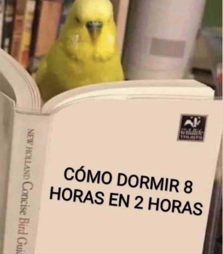 Guarromantico_'s tweet photo. Lo necesito. https://t.co/ZHVBRdRhtJ