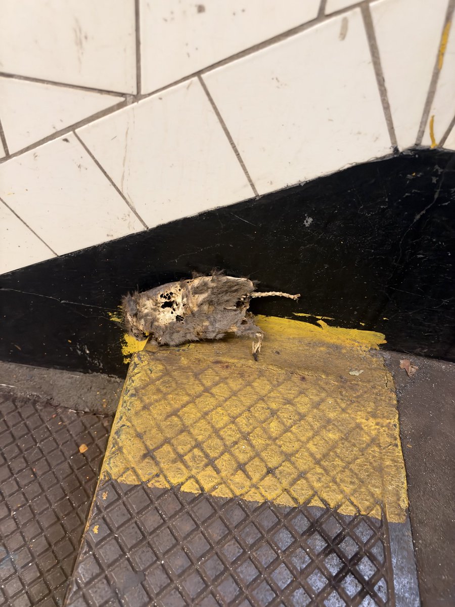 DrewPavlou's tweet photo. Saw this in the subway today

America is the richest country in the history of the world, for the love of God, LEE KUAN YEW NOW

You don’t need to live like this

LEE KUAN YEW NOW https://t.co/PfOp113Sbl