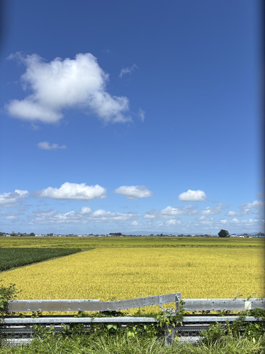 HealingAir's tweet photo. 青森の空も素晴らしい👍
#青森県 
#つ��る市
#空 https://t.co/WrgQ7zJhSy