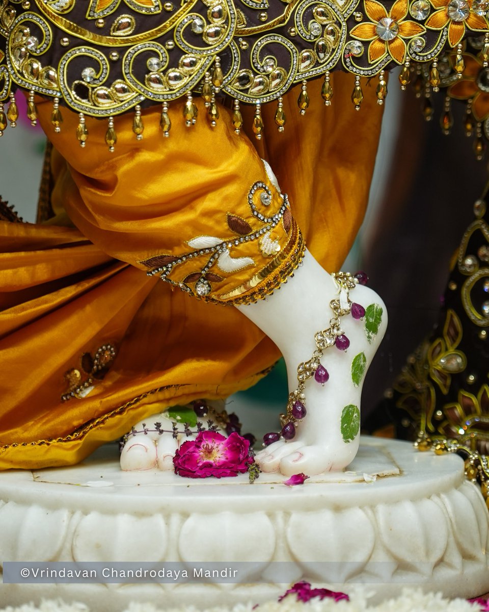 VCMVrindavan's tweet photo. Today's Sringar Darshan of Sri Radha Vrindavanchandra, 02 Oct 2026
शुक्रवार, आश्विन मास, षष्ठी तिथि, कृष्ण पक्ष, विक्रम संवत् २०८३, गौरबदा 540
    
#vrindavan #vrindavanchandrodayamandir #tallesttemple #Krishna #radha https://t.co/4fHIa4EDib