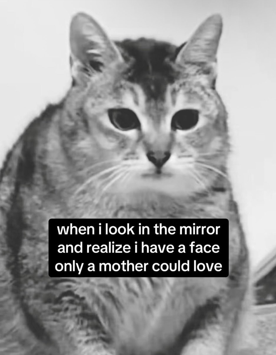 lainpng's tweet photo. https://t.co/5F7exiqdC3