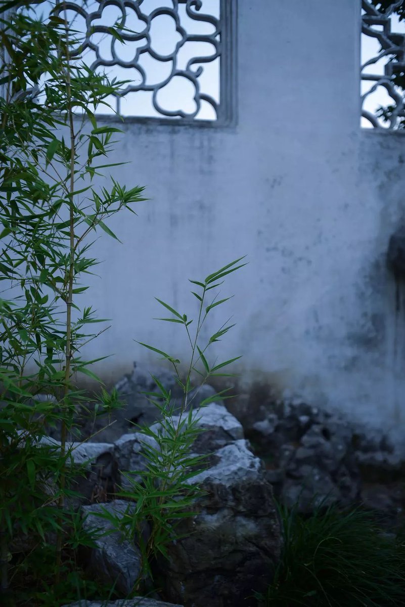 wndms010516's tweet photo. [No need for these characters, here's a vibe of quiet Chinese charm—serene]， https://t.co/CHVOL1gzFD