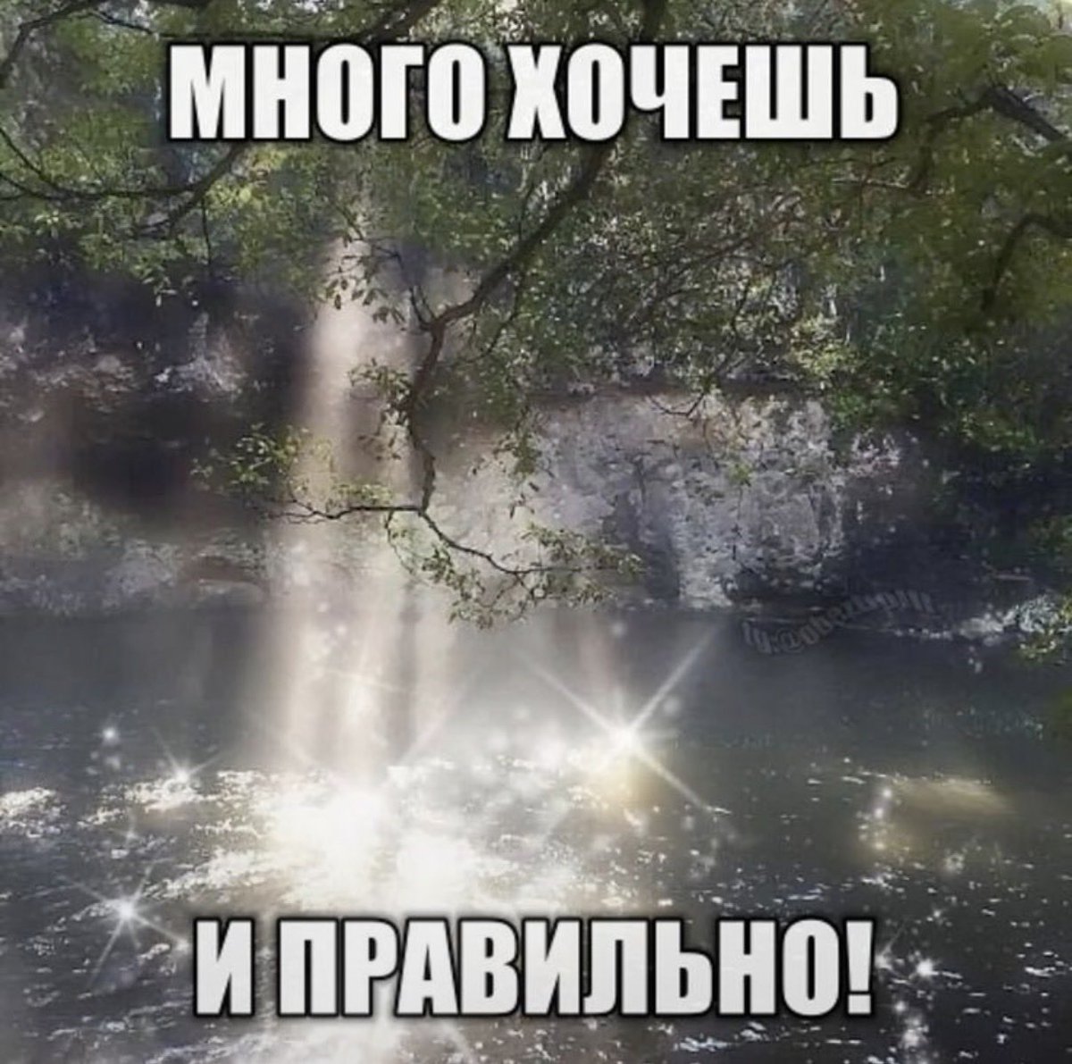 tsundoku__k's tweet photo. отмените пятницу https://t.co/wSZp8BabOt