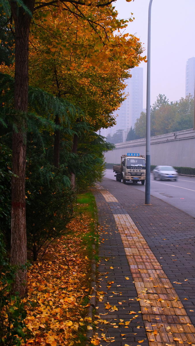 harol_spin__035's tweet photo. As dusk falls in Shaanxi, only quiet memories linger. https://t.co/iVV6x5b7Bs