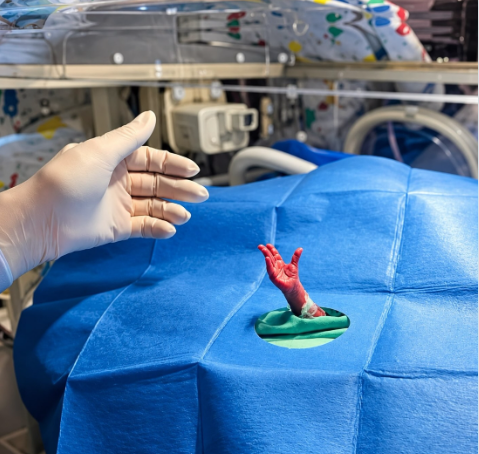 CitizenGO's tweet photo. This is a REAL photo of a premature baby born at just 24 weeks.

So tiny and so undeniably HUMAN. https://t.co/R1sqOIPg5N