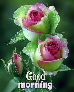 muruganmur24624's tweet photo. @arunaa232 https://t.co/tPHHDemp9Z
