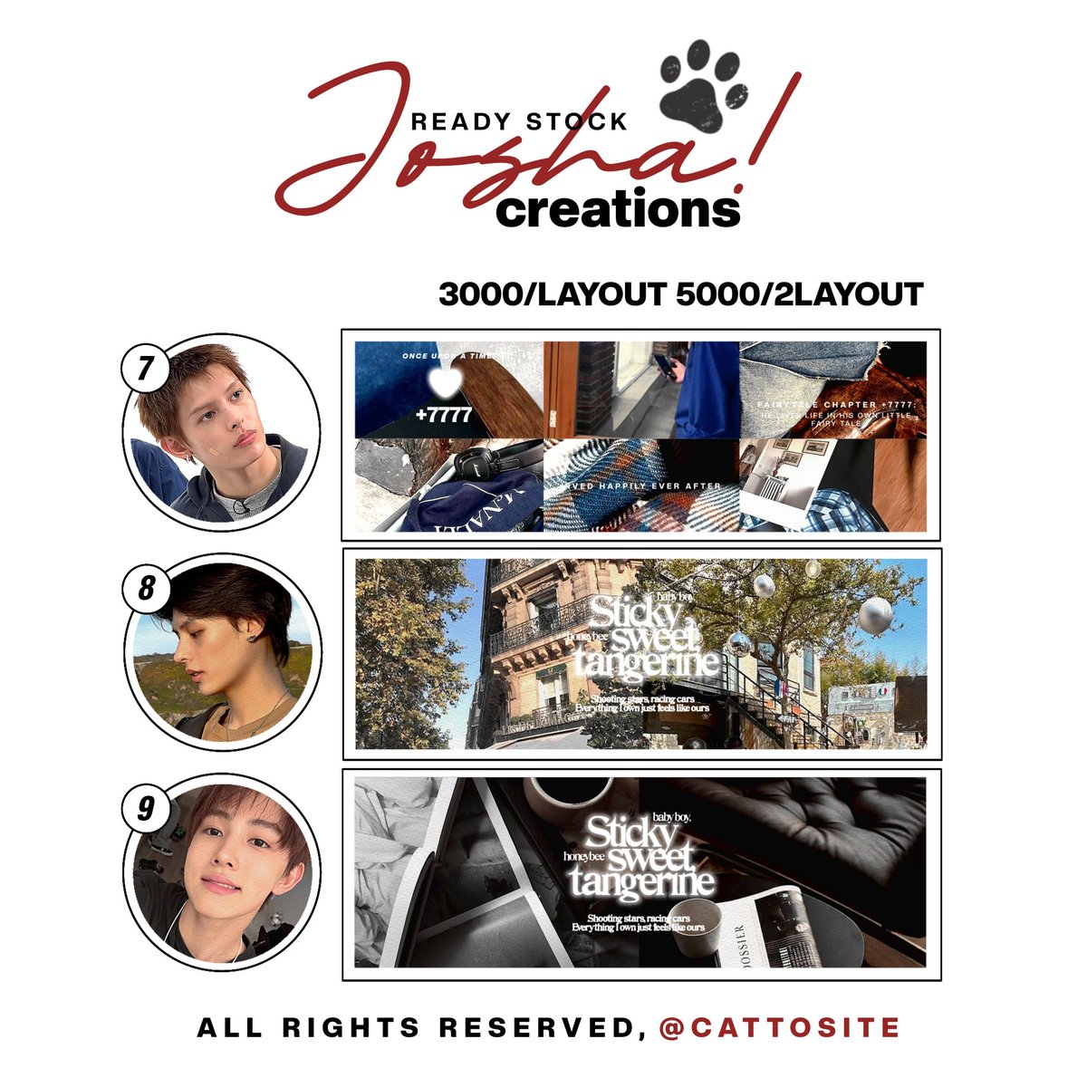 cattosite tweet picture
