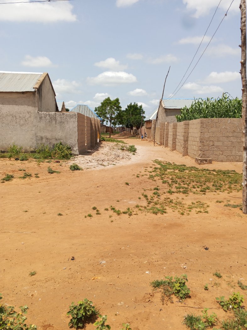 abumanap10's tweet photo. My village Street is cool especially in the morning 🌄 

When everyone indoor and less pressure outdoors.

Are you comfortably living in your village wards? https://t.co/qsxVmhOSKX