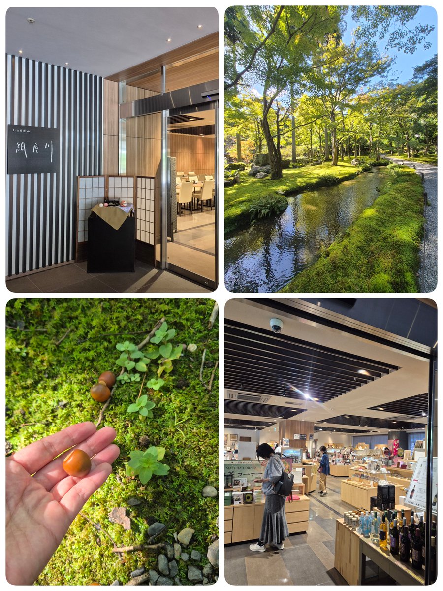 etsuko_green's tweet photo. 添乗の下見を兼ねた...
今日の私の一人遠足コース😊

六角堂　頂法寺
　↓
京都御苑＆御所
　↓
しょうざんリゾート
　↓
京つけもの　もり　三条店
　↓
行願寺
　↓
六波羅蜜寺 https://t.co/XnhMQ6wOWH