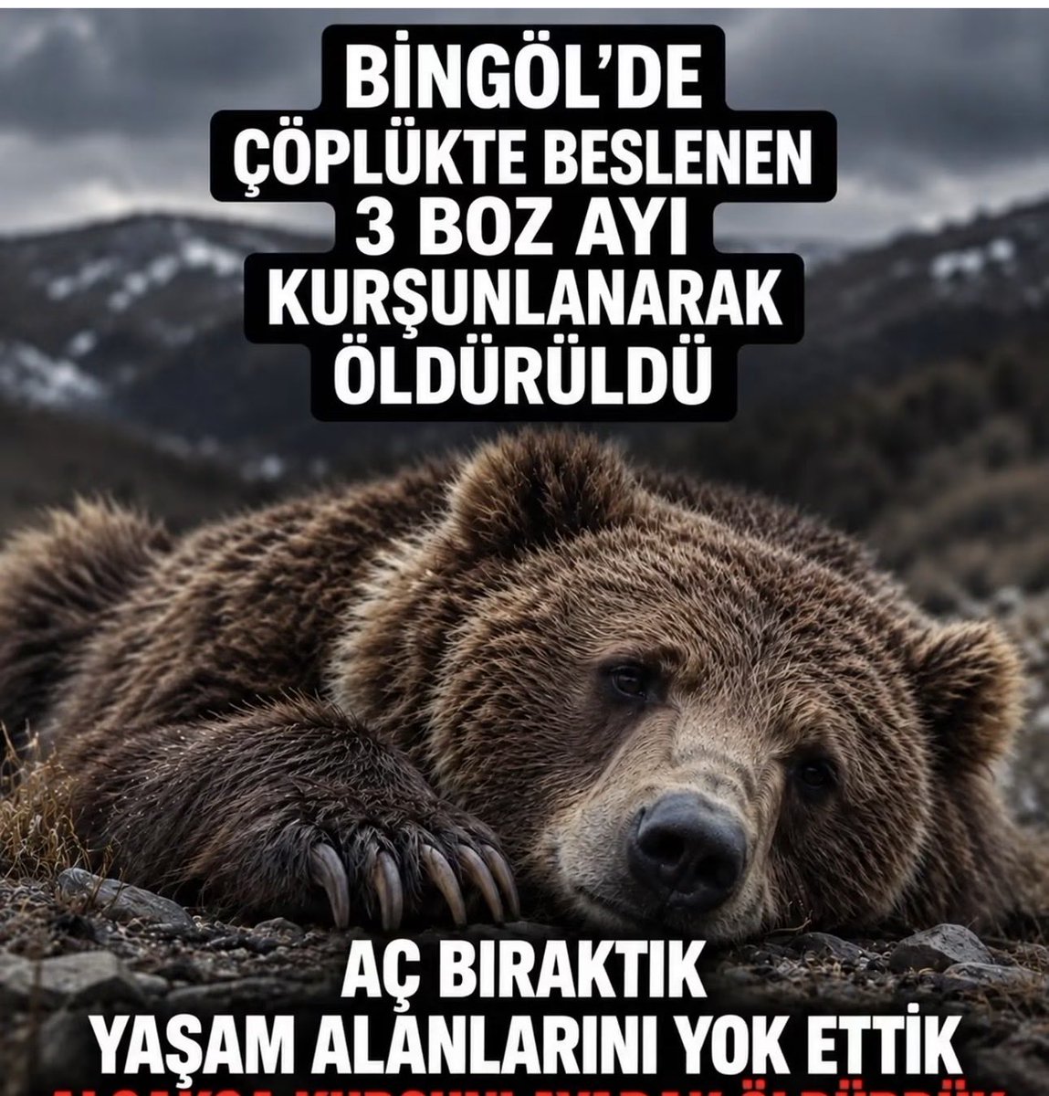 ZeynepErcooz's tweet photo. ALLAH belanızı versin niçin neden ne istediniz yesin geri dönsün bunu yapanlar bugünkü duam inşallah aynı akibeti yaşarsın ilahi adalet tez vakitte kapını çalsın  Rabbim yanınıza bırakmaz🤲🤲 https://t.co/5cXSaRga7c