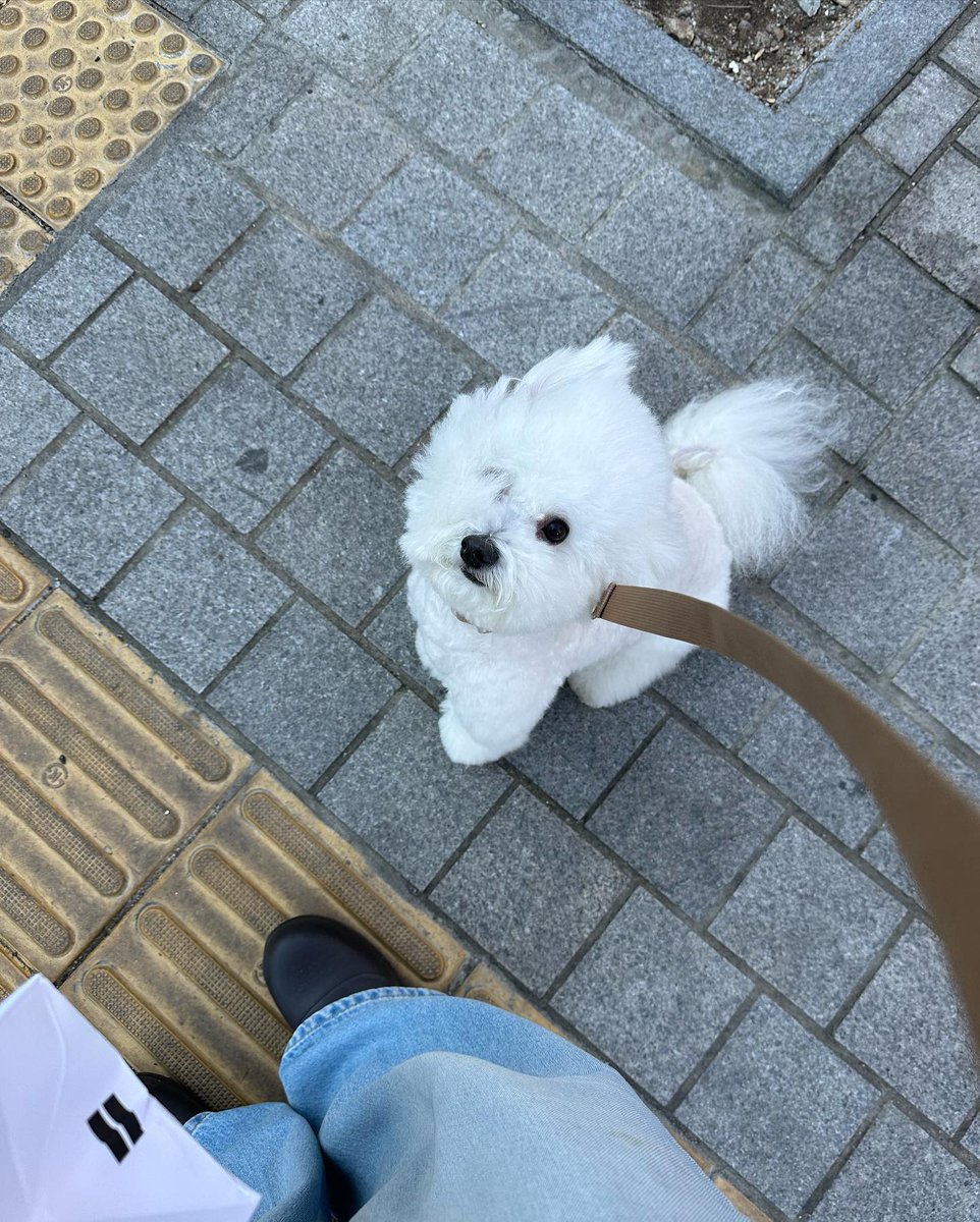 Giuvcaetano's tweet photo. 過ぎ去った時間を振り返るたびに、少しだけ大人になった気がする。ふとそんなことを考えた。 👊🌙
OUavP https://t.co/hiRAPhnIJ2