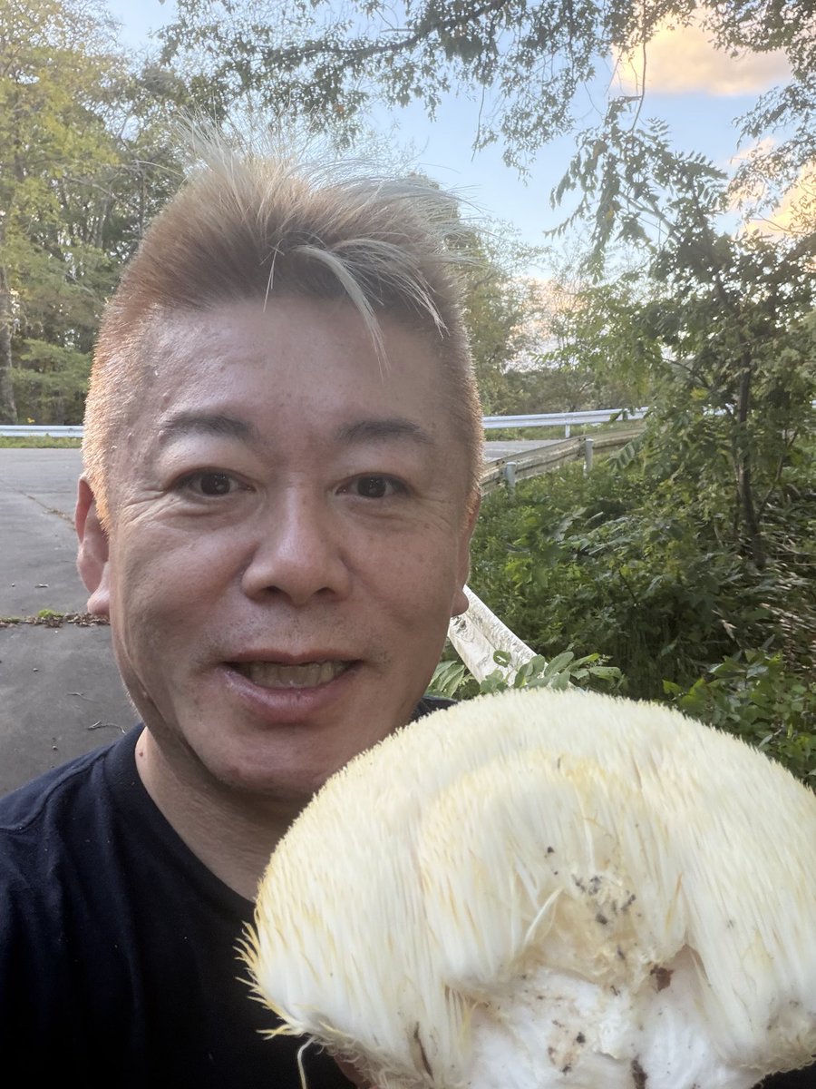 takapon_jp's tweet photo. ヤマブシタケ！ https://t.co/qkRyskQLBs