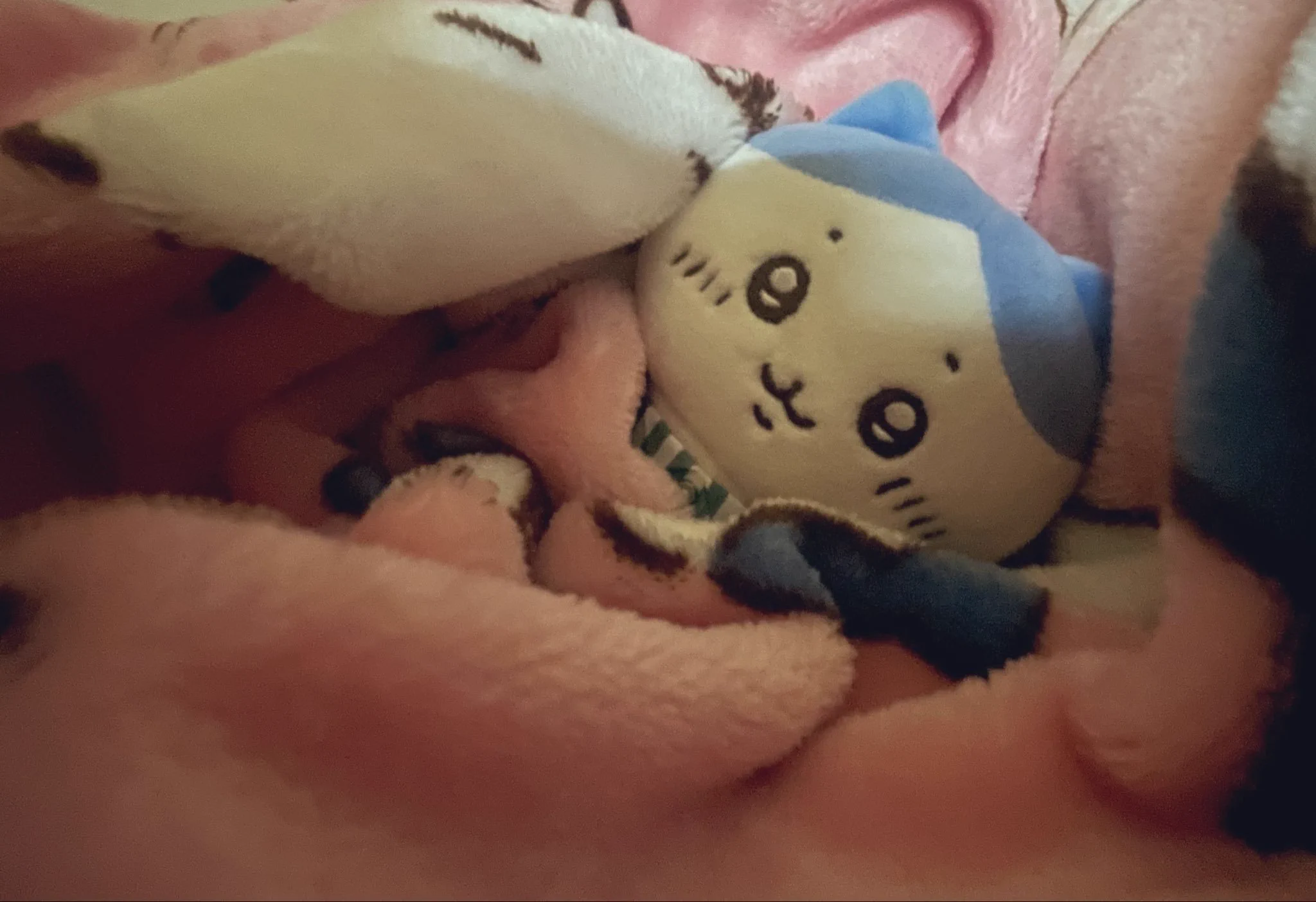 ちいかわグッズ公式 on X: 
