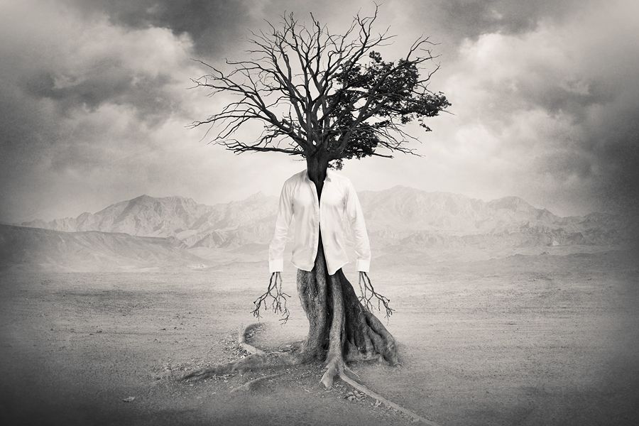 Drakre52's tweet photo. Photomanipulation - Humor
https://t.co/5xa5i3eUuT
https://t.co/5rXQhacogr
https://t.co/eo53gnQA59
#drakre52 #funny #humor #lol #photomanipulation #manipulationdephoto #fotomanipulimi #manipolazionefotografica #grappig #umorismo #umorea #mizah #ormop #kuseka #malie #umor https://t.co/JfyGAjUdkx