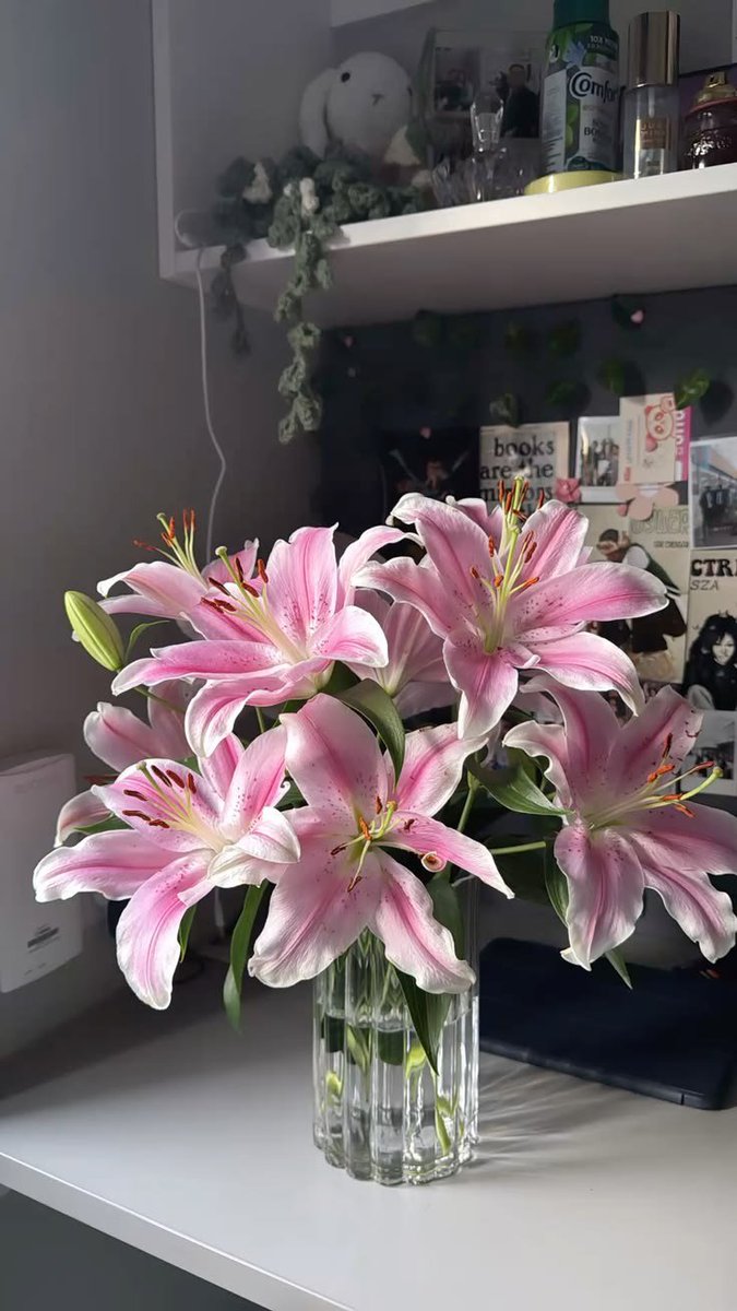 Flowersidmb's tweet photo. https://t.co/J9NKBOElJI