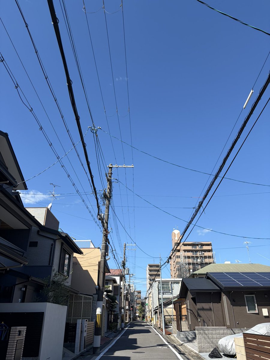 IppeiShigeyama's tweet photo. 晴れとるなぁ☀️
ま、今日は引きこもりますが、、、 https://t.co/6jFNVH2eOf