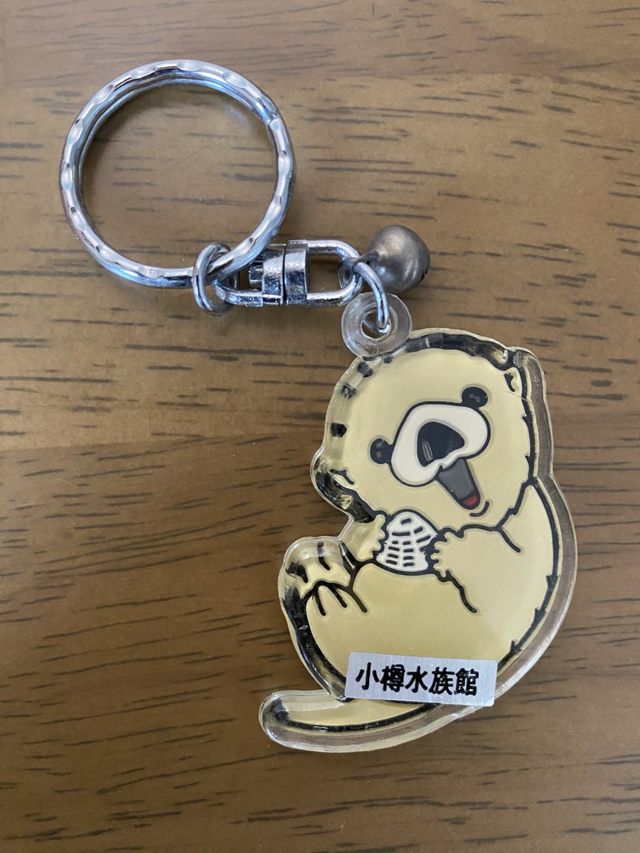 yosukemi's tweet photo. @otaruaquarium 35年くらい前か、小樽水族館で祖父母に買ってもらったキーホルダーを先日実家で発見しましたので、ここにご報告いたします。
今は子供達が鳥羽水族館のラッコの大ファンです。 https://t.co/IZB16722eO