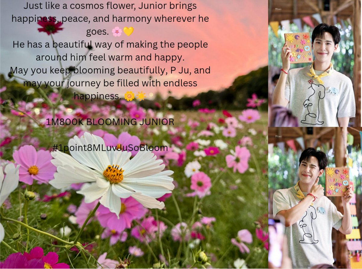 mya_palel's tweet photo. October is the month when cosmos flowers bloom, and just like these little flowers, our love for Junior continues to bloom beautifully. 
Now, 1.8M love has bloomed for our Junior—may this love keep growing, shining, and blooming even more. 

1M800K BLOOMING JUNIOR

#1point8MLuvJuSoBloom