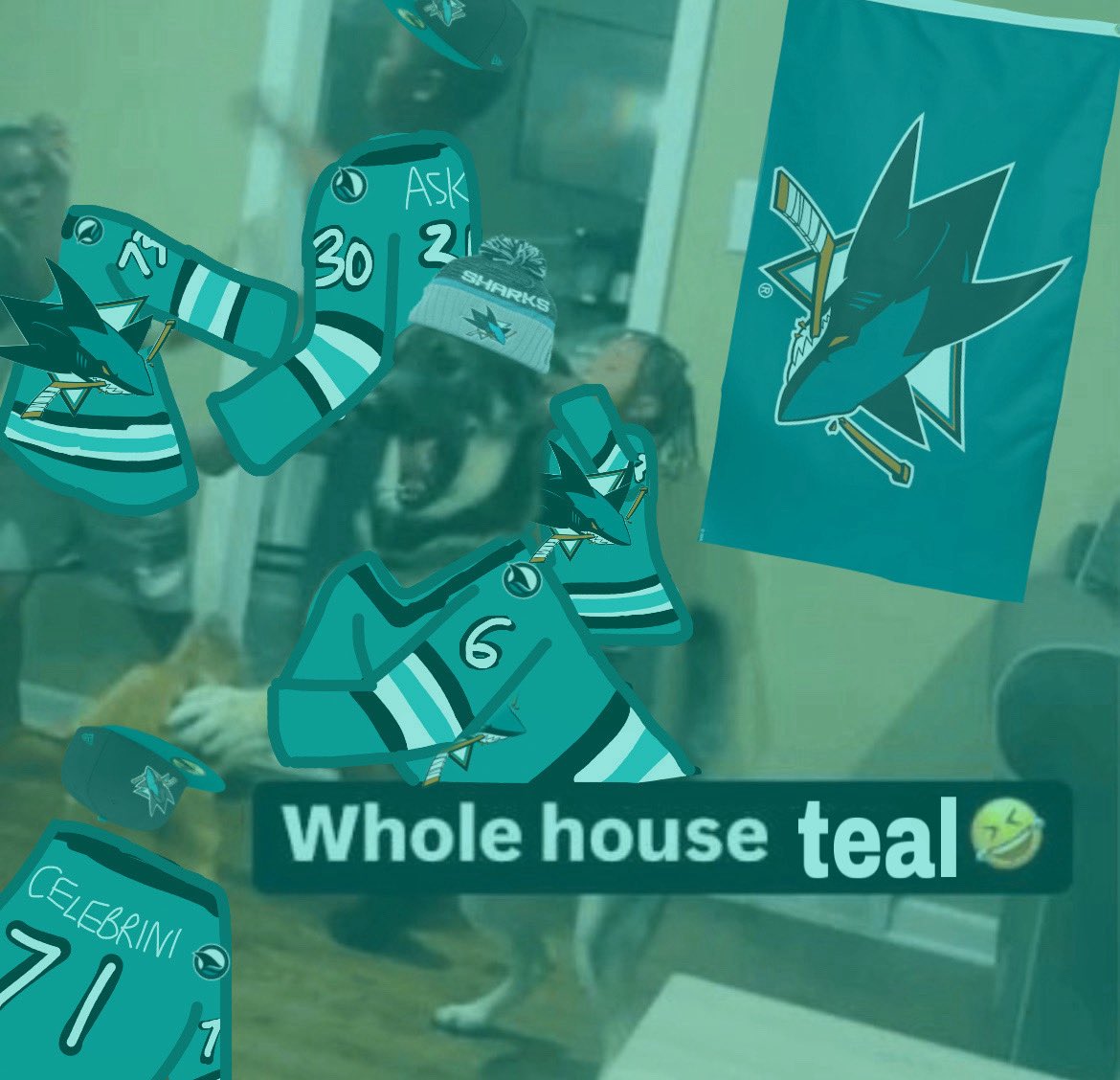 fightinlightnin's tweet photo. SHARKS OPENER DUB YOU LOVE TO SEE IT #TurnItAllTeal https://t.co/AYj7I7GSzH