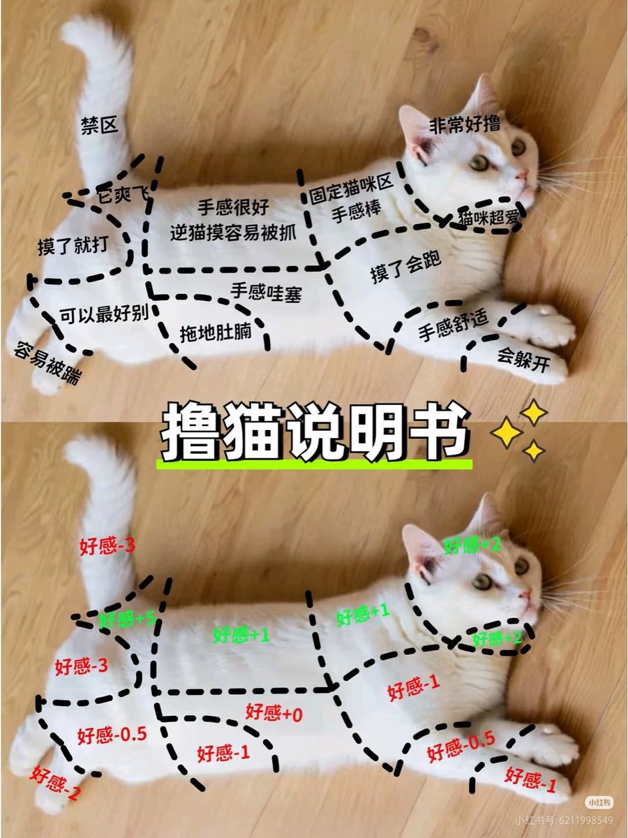 xueh4940's tweet photo. 神不神 https://t.co/zq3uBlBKW7